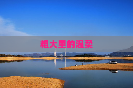 粗大里的温柔