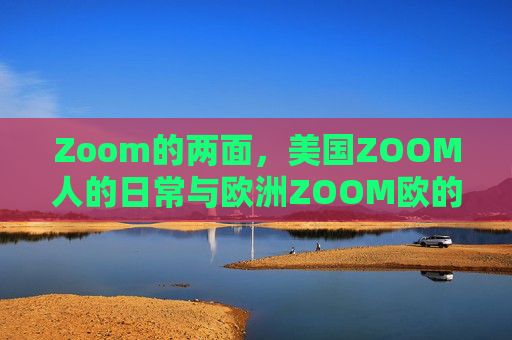 Zoom的两面，美国ZOOM人的日常与欧洲ZOOM欧的镜鉴
