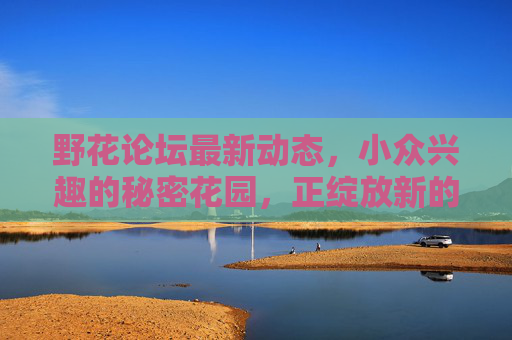 野花论坛最新动态，小众兴趣的秘密花园，正绽放新的活力，野花论坛，小众兴趣的秘密花园，绽放新活力