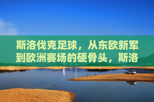 斯洛伐克足球，从东欧新军到欧洲赛场的硬骨头，斯洛伐克足球，从东欧新军到欧洲赛场硬骨头