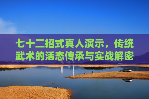 七十二招式真人演示，传统武术的活态传承与实战解密，七十二招式真人演示，传统武术活态传承与实战解密