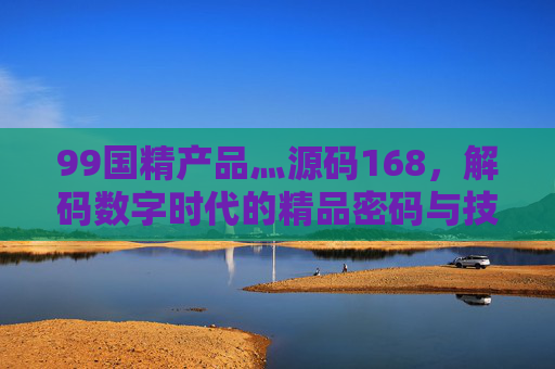 99国精产品灬源码168，解码数字时代的精品密码与技术内核，解码数字时代精品密码，99国精产品的技术内核