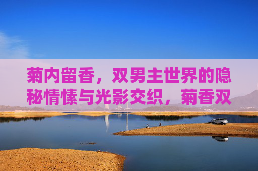 菊内留香，双男主世界的隐秘情愫与光影交织，菊香双男主，隐秘情愫与光影交织