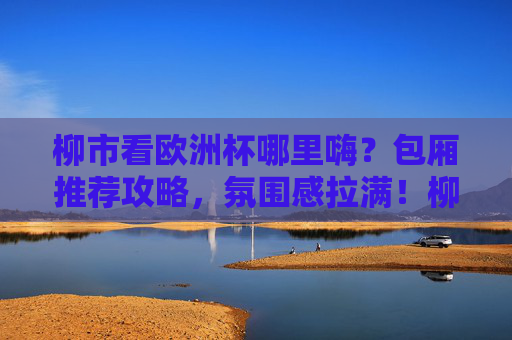 柳市看欧洲杯哪里嗨？包厢推荐攻略，氛围感拉满！柳市欧洲杯包厢推荐，氛围感拉满，嗨翻全场！