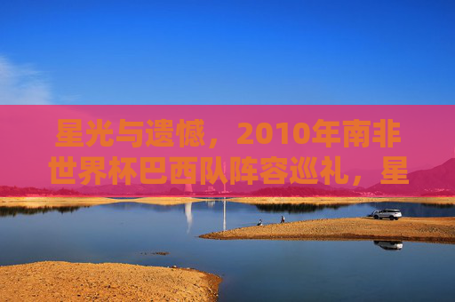 星光与遗憾，2010年南非世界杯巴西队阵容巡礼，星光与遗憾，2010年南非世界杯巴西队阵容巡礼