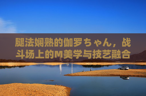 腿法娴熟的伽罗ちゃん，战斗场上的M美学与技艺融合，腿法娴熟伽罗ちゃん，战斗场M美学与技艺融合