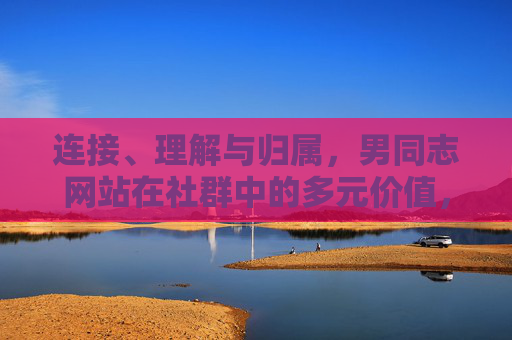 连接、理解与归属，男同志网站在社群中的多元价值，男同志网站的多元社群价值，连接、理解与归属