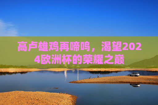 高卢雄鸡再啼鸣，渴望2024欧洲杯的荣耀之巅