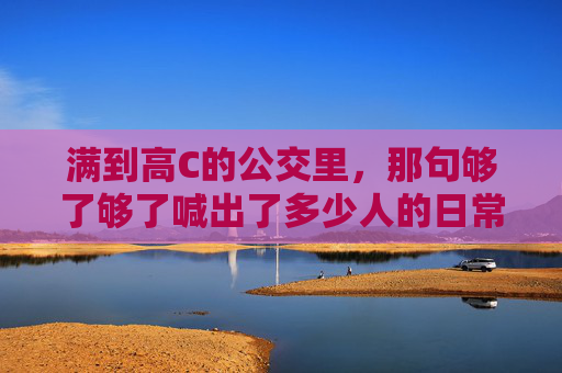 满到高C的公交里，那句够了够了喊出了多少人的日常，公交挤到高C，够了够了是多少人的日常