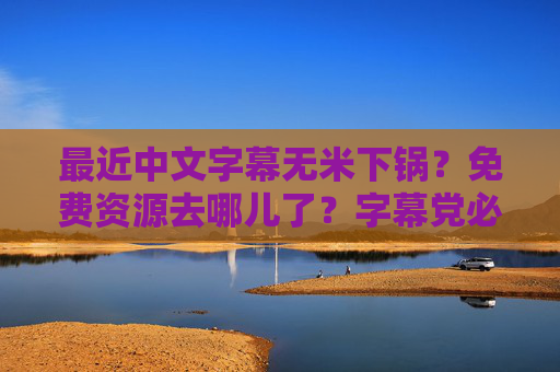 最近中文字幕无米下锅？免费资源去哪儿了？字幕党必看指南，字幕党必看，免费中文字幕资源寻回指南
