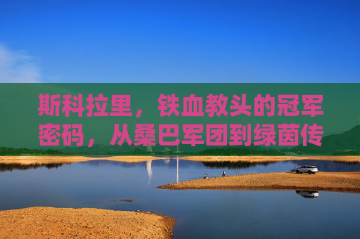 斯科拉里,铁血教头的冠军密码,从桑巴军团到绿茵传奇,铁血教头斯科拉里的冠军密码,从桑巴军团到绿茵传奇 斯科拉里,铁血教头的冠军密码,从桑巴军团到绿茵传奇,铁血教头斯科拉里的冠军密码,从桑巴军团到绿茵传奇