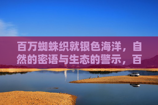 百万蜘蛛织就银色海洋，自然的密语与生态的警示，百万银海织密语，自然的生态警示