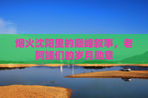 烟火沈阳里的巅峰叙事，老阿姨们的岁月勋章