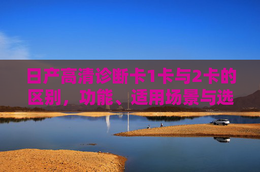 日产高清诊断卡1卡与2卡的区别，功能、适用场景与选购指南，日产高清诊断卡1卡与2卡，区别、功能、适用场景及选购指南