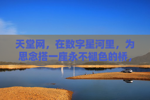 天堂网，在数字星河里，为思念搭一座永不褪色的桥，数字星河里的思念之桥