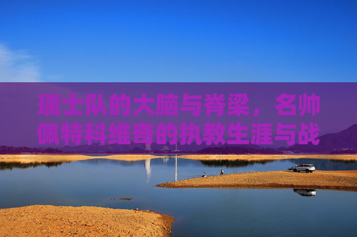 瑞士队的大脑与脊梁，名帅佩特科维奇的执教生涯与战术哲学，瑞士队大脑与脊梁，名帅佩特科维奇的执教生涯与战术哲学