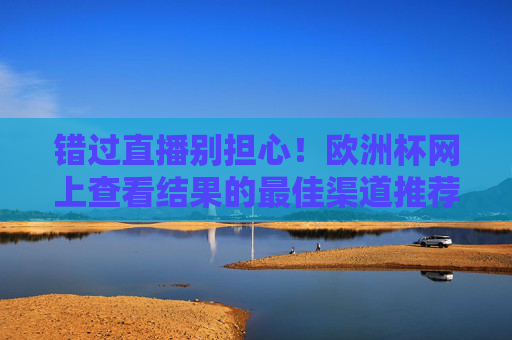 错过直播别担心！欧洲杯网上查看结果的最佳渠道推荐