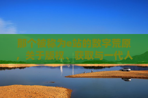 那个被称为e站的数字荒原，关于版权、获取与一代人的网络记忆
