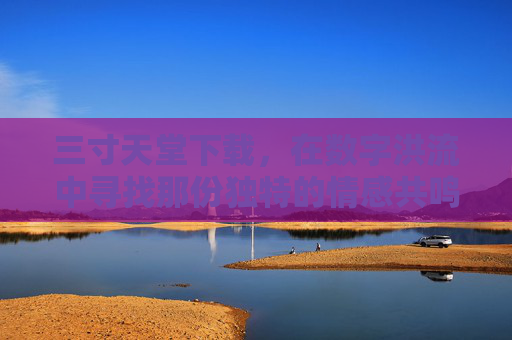 三寸天堂下载，在数字洪流中寻找那份独特的情感共鸣
