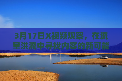 3月17日X视频观察，在流量洪流中寻找内容的新可能