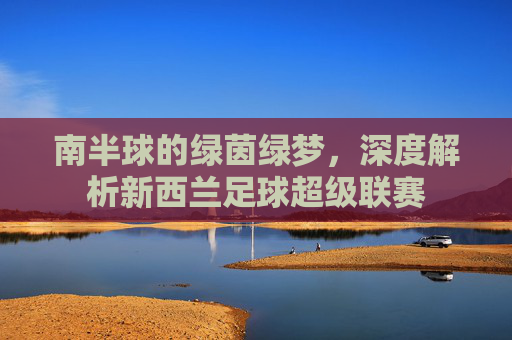 南半球的绿茵绿梦，深度解析新西兰足球超级联赛