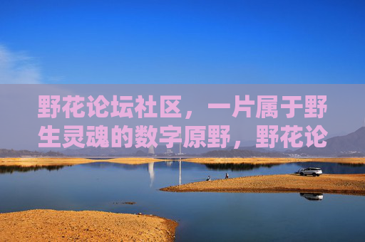 野花论坛社区，一片属于野生灵魂的数字原野，野花论坛，野生灵魂的数字原野