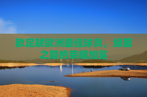 欧足联欧洲最佳球员，绿茵之巅的荣耀加冕