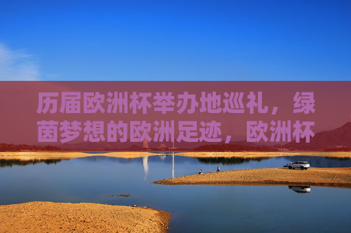 历届欧洲杯举办地巡礼，绿茵梦想的欧洲足迹，欧洲杯举办地巡礼，绿茵梦想的欧洲足迹