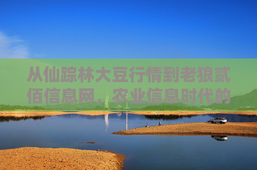从仙踪林大豆行情到老狼贰佰信息网，农业信息时代的双引擎，仙踪林大豆行情与老狼贰佰信息网，农业信息时代的双引擎