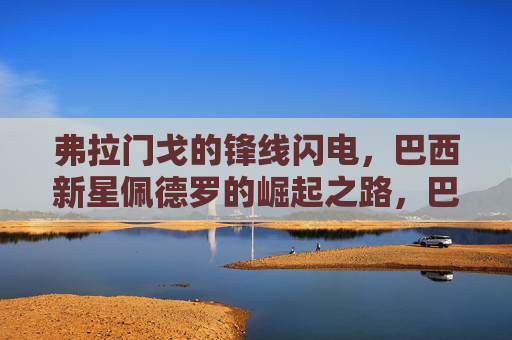 弗拉门戈的锋线闪电，巴西新星佩德罗的崛起之路，巴西新星佩德罗，弗拉门戈锋线闪电的崛起之路