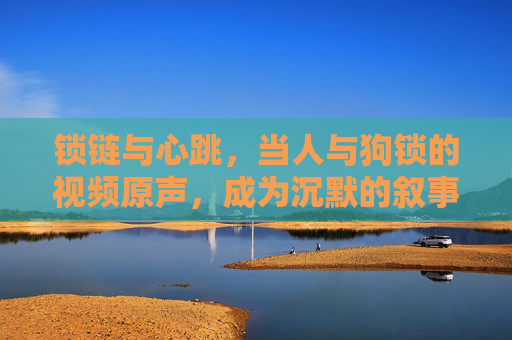 锁链与心跳，当人与狗锁的视频原声，成为沉默的叙事诗
