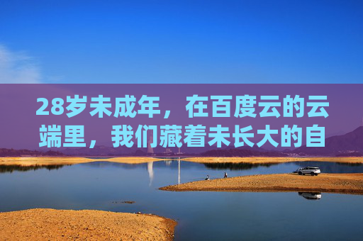 28岁未成年，在百度云的云端里，我们藏着未长大的自己，28岁未成年，云端藏着的未长大的自己