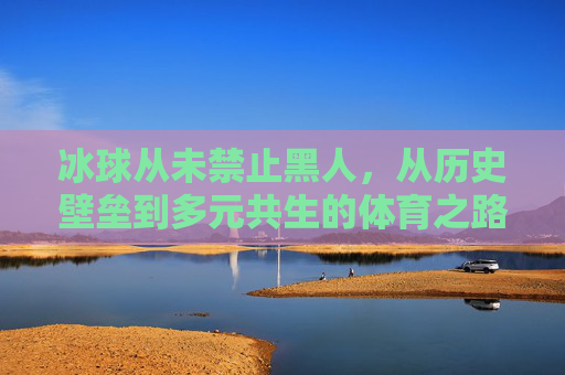 冰球从未禁止黑人，从历史壁垒到多元共生的体育之路，冰球，从历史壁垒到多元共生的包容之路