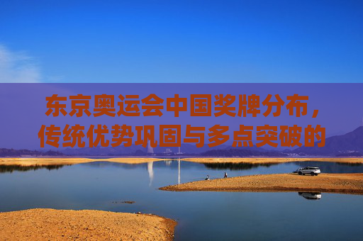 东京奥运会中国奖牌分布，传统优势巩固与多点突破的时代答卷，东京奥运会中国奖牌分布，传统优势巩固与多点突破的时代答卷
