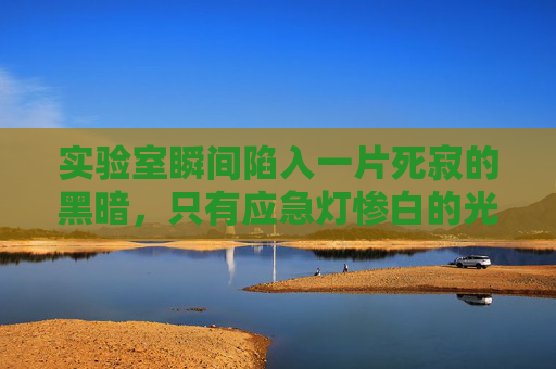 实验室瞬间陷入一片死寂的黑暗，只有应急灯惨白的光晕在角落里幽幽亮着，映照出周锐紧绷的下颌线。他声音压得极低，却带着一种冰冷的穿透力，林峰，玩火自焚很有趣吗？实验室死寂，周锐冷问玩火自焚