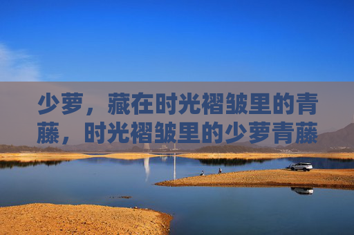 少萝，藏在时光褶皱里的青藤，时光褶皱里的少萝青藤