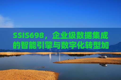 SSIS698，企业级数据集成的智能引擎与数字化转型加速器，SSIS698，企业级数据集成智能引擎与数字化转型加速器