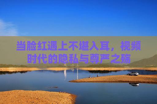 当脸红遇上不堪入耳，视频时代的隐私与尊严之殇