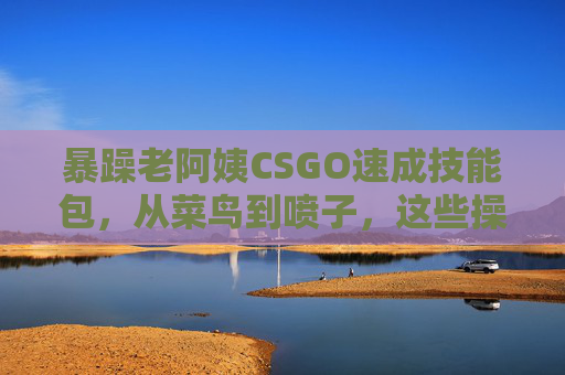 暴躁老阿姨CSGO速成技能包,从菜鸟到喷子,这些操作让你把把爽翻天!暴躁老阿姨CSGO速成技,菜鸟到喷子把把爽 暴躁老阿姨CSGO速成技能包,从菜鸟到喷子,这些操作让你把把爽翻天!暴躁老阿姨CSGO速成技,菜鸟到喷子把把爽