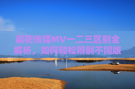 麻花传媒MV一二三区别全解析,如何轻松辨别不同版本?麻花传媒MV一二三区别全解析,轻松辨别不同版本 麻花传媒MV一二三区别全解析,如何轻松辨别不同版本?麻花传媒MV一二三区别全解析,轻松辨别不同版本