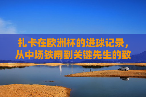 扎卡在欧洲杯的进球记录,从中场铁闸到关键先生的致命一击,扎卡欧洲杯蜕变,从铁闸到关键先生的致命一击 扎卡在欧洲杯的进球记录,从中场铁闸到关键先生的致命一击,扎卡欧洲杯蜕变,从铁闸到关键先生的致命一击