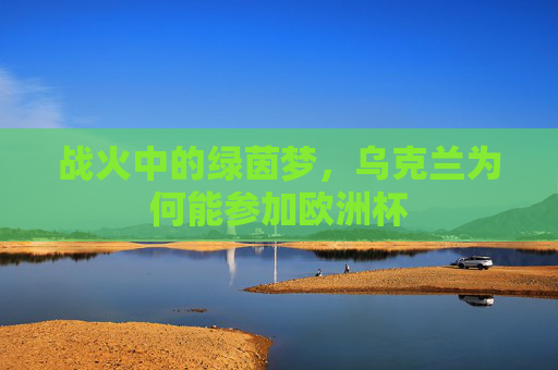 战火中的绿茵梦,乌克兰为何能参加欧洲杯 战火中的绿茵梦,乌克兰为何能参加欧洲杯