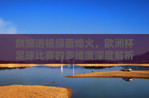 数据透视绿茵烽火,欧洲杯足球比赛的多维度深度解析,数据透视绿茵烽火,欧洲杯多维度深度解析 数据透视绿茵烽火,欧洲杯足球比赛的多维度深度解析,数据透视绿茵烽火,欧洲杯多维度深度解析