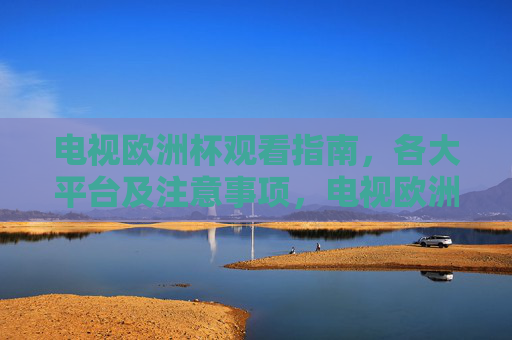 电视欧洲杯观看指南，各大平台及注意事项，电视欧洲杯观看全指南，平台选择与注意事项