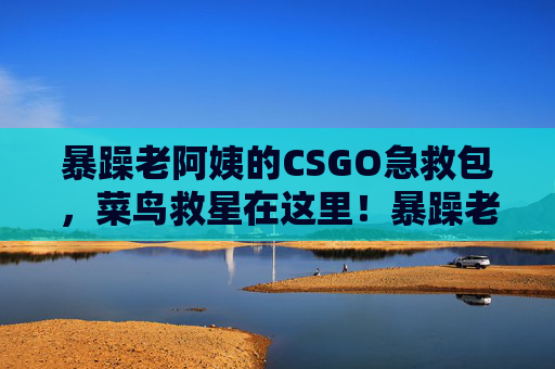 暴躁老阿姨的CSGO急救包,菜鸟救星在这里!暴躁老阿姨的CSGO急救包,菜鸟救星在此! 暴躁老阿姨的CSGO急救包,菜鸟救星在这里!暴躁老阿姨的CSGO急救包,菜鸟救星在此!