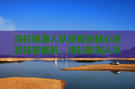 洛杉矶湖人队现役及核心球员阵容解析，洛杉矶湖人队现役核心球员阵容解析