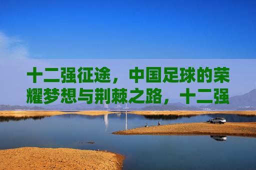 十二强征途，中国足球的荣耀梦想与荆棘之路，十二强征途，中国足球的荣耀梦想与荆棘之路