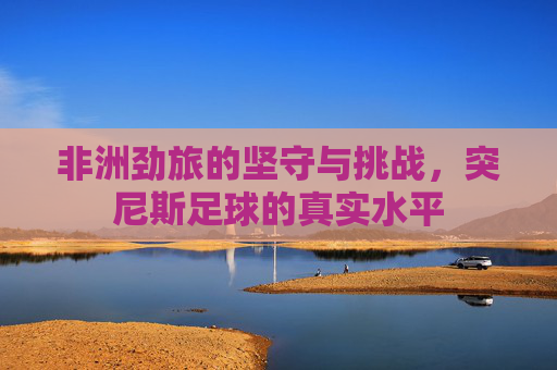 非洲劲旅的坚守与挑战,突尼斯足球的真实水平 非洲劲旅的坚守与挑战,突尼斯足球的真实水平