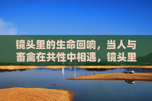 镜头里的生命回响，当人与畜禽在共性中相遇，镜头里的生命回响，人与畜禽的共性相遇