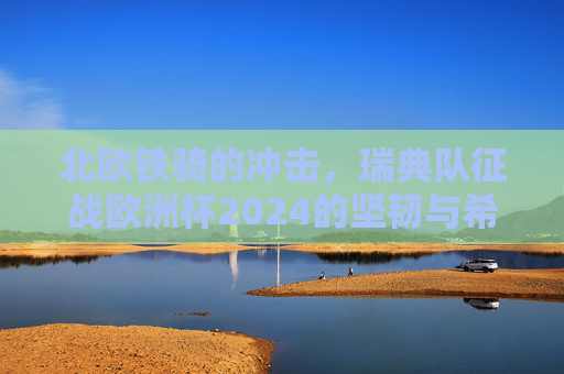 北欧铁骑的冲击，瑞典队征战欧洲杯2024的坚韧与希望，北欧铁骑的坚韧与希望，瑞典队冲击欧洲杯2024